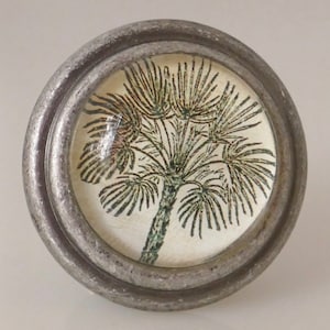 SALE Set of 2 Palm Tree Burnished Silver Knobs