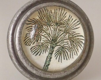 Set of 2 Palm Tree Burnished Silver Knobs