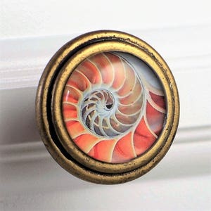 May include: Round cabinet knob with a bronze finish. The knob features a colorful nautilus shell design in shades of orange, white, and brown. The knob is likely made of metal and glass, and is suitable for furniture or decor.