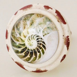May include: Round cabinet knob with a nautilus shell design. The knob features a white, distressed finish with reddish-brown accents around the edge. The nautilus shell is visible through a clear, circular glass or resin insert.