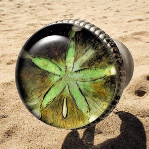 May include: A circular cabinet knob featuring a resin-encased sand dollar design. The center displays a vibrant green, five-pointed star pattern against a dark, textured background. The knob has a metallic, ridged edge and a smooth, domed surface.