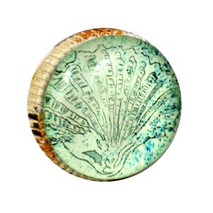 May include: A round, decorative cabinet knob with a light green, blue, and black design. The design features a fan-like pattern. The knob has a light tan and brown border.