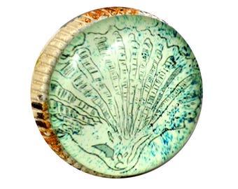 Set of 2 - Shell knob - Retro-Whitewashed Metal - Blue Shell Artwork under Glass
