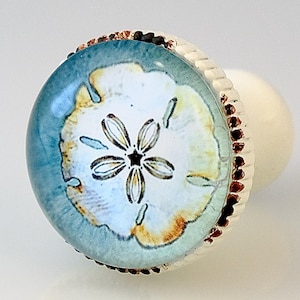 May include: A round cabinet knob with a silver-colored base and a domed, glass-like top. The top features a sand dollar design in shades of white, tan, and black, set against a light blue background. The knob has a white, rounded handle.