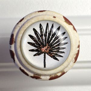 May include: A round, distressed white cabinet knob with a botanical design. The knob features a clear glass center with a black and brown palm frond illustration. The edges are accented with brown paint, giving it a rustic look.