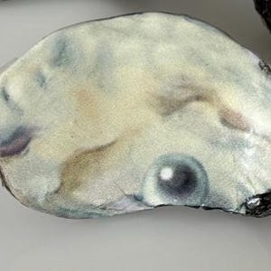 Pair of 2 Oysters - Handpainted Pearl Original Art Knobs