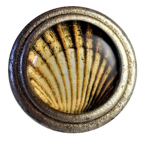May include: A round cabinet knob with a seashell design. The knob features a clear, domed glass center with a detailed image of a beige and brown seashell. The knob is framed by a metallic, antique-style border.