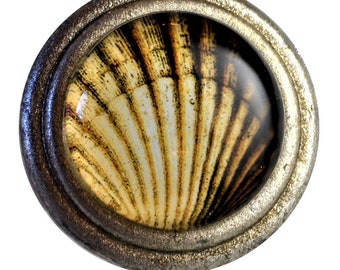 Set of 2 Scallop Shell Art Silver pewter knobs
