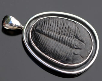 Perfect Natural Trilobite Fossil Pendant, Thick Handcrafted Sterling Silver, Authentic Fossil Jewlery, Elrathia Kingi, Mens Jewelry