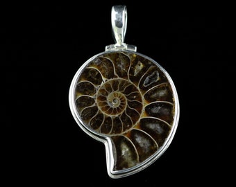 Ammonite Fossil Pendant Hand Bezel set in Sterling Silver, Natural Spiral Gemstone Jewelry, Fibonacci Spiral, Perfect Fossil, Fall Colors