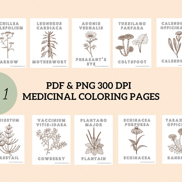 Medicinal coloring page, Botanical, kids, medicinal herb, homeschool, nature, digital download, instant download, medicinal plant, preschool