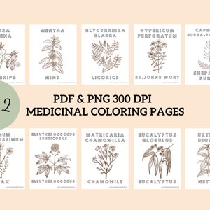 薬用ぬり絵、植物、子供、薬草、ホームスクール、自然、デジタルダウンロード、インスタントダウンロード、薬用植物、幼稚園