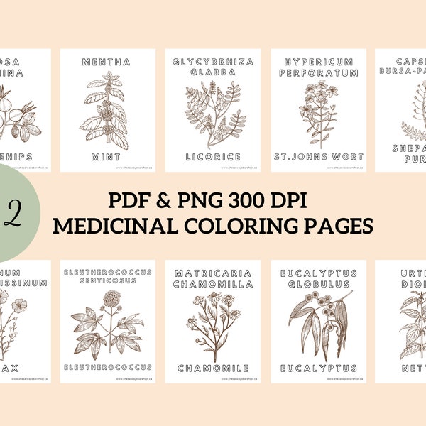 Medicinal coloring page, Botanical, kids, medicinal herb, homeschool, nature, digital download, instant download, medicinal plant, preschool