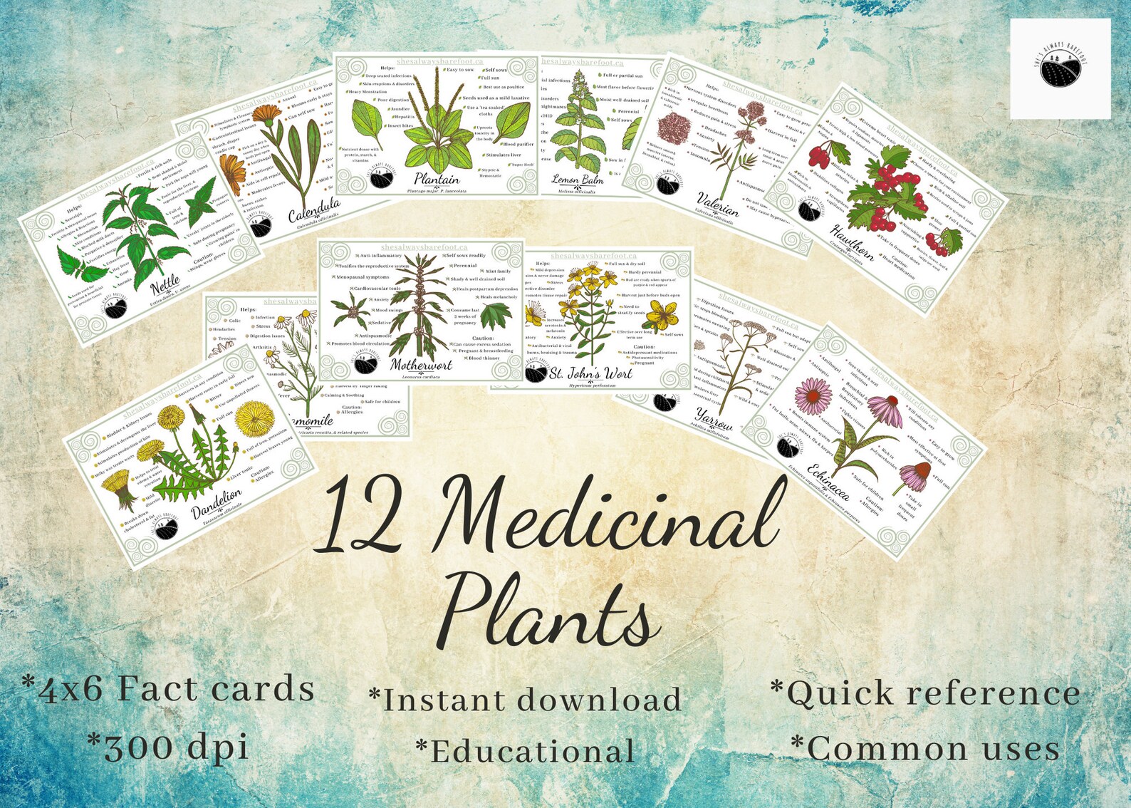Herb Fact Cards 12 Different Medicinal Herbs Instant Digital Download