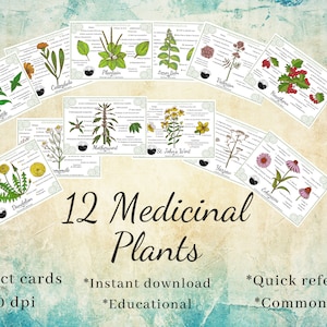 Herb Fact Cards • 12 Different Medicinal Herbs • Instant Digital Download • Herbalist/Botany Educational Resource • Flashcards • 4x6