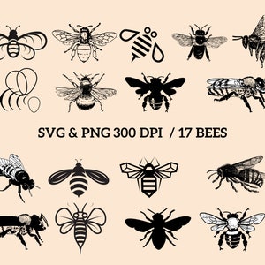 Bee SVG, Vector files, bee, instant download,vinyl, iron on, honey bee,silhouette, shirt design,bee vector, cricut,png,svg,nature, digital,