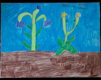 SWEATPEA
