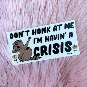 Havin' A Crisis Bumper Sticker, As Seen On TikTok, Gen Z Bumper Stickers, Bumper Stickers Funny, Mental Health Gifts, Sticker Decal For Car