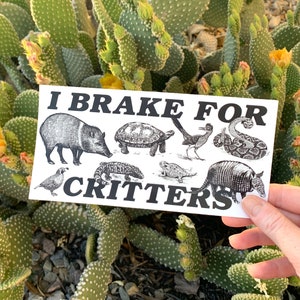 I Brake For Critters Bumper Sticker, Animal Lover Gift, Gen Z Bumper Stickers, Vegan Bumper Sticker, Funny Bumper Sticker Gen Z image 3