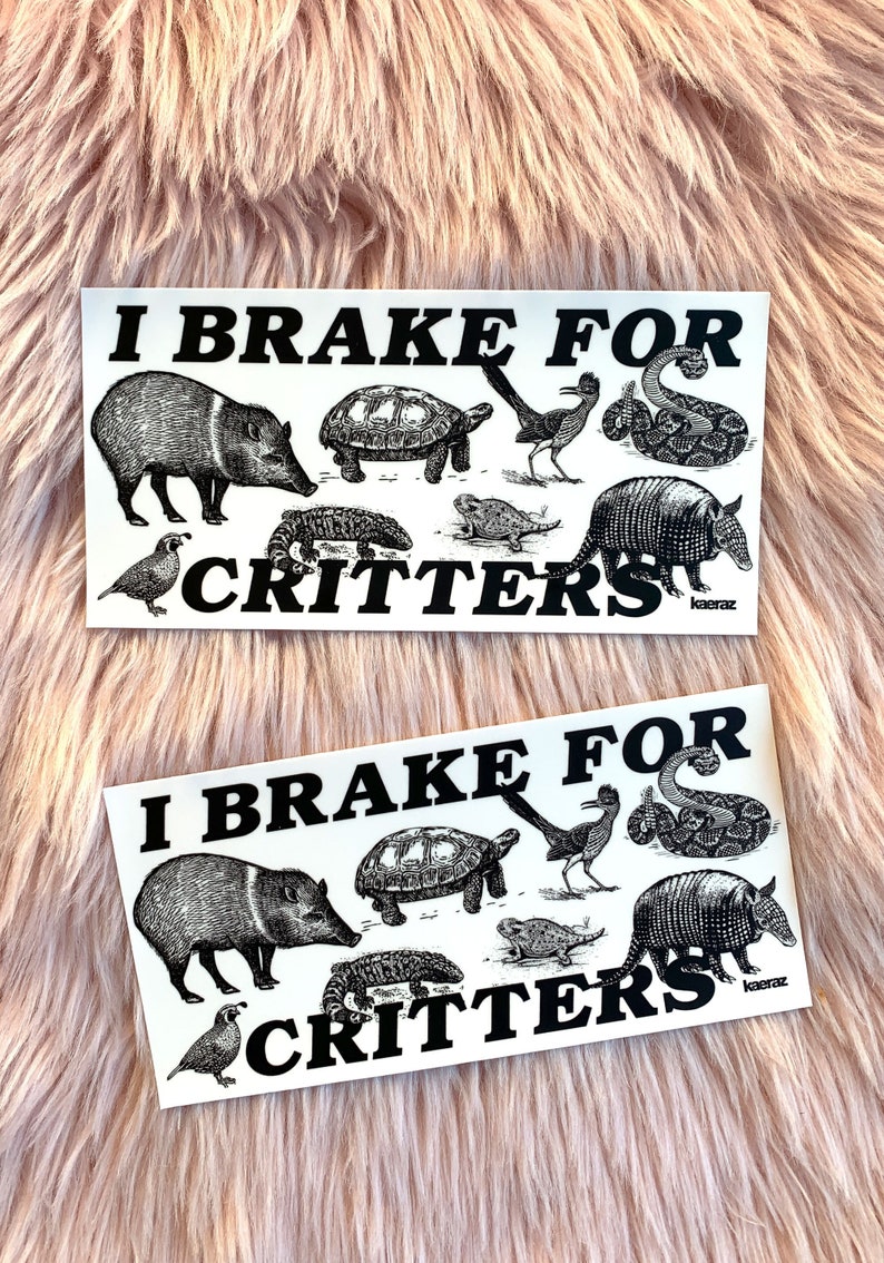 I Brake For Critters Bumper Sticker, Animal Lover Gift, Gen Z Bumper Stickers, Vegan Bumper Sticker, Funny Bumper Sticker Gen Z image 1