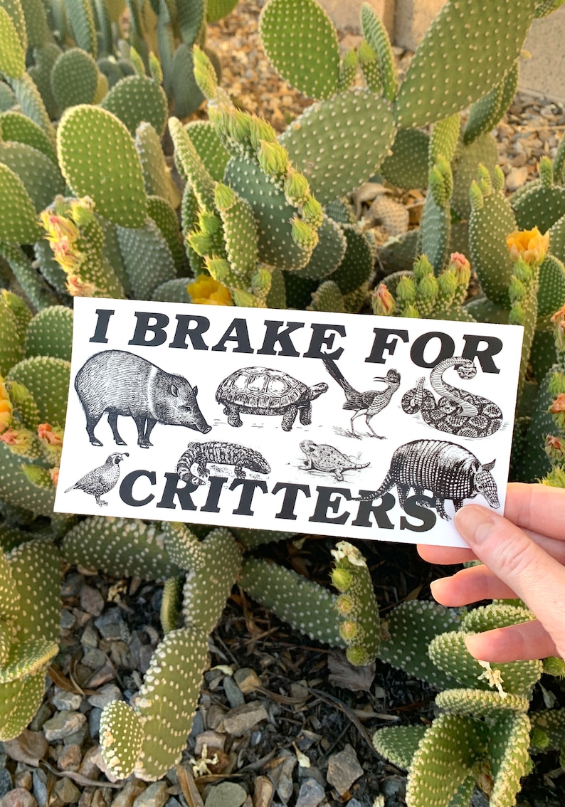 I Brake For Critters Bumper Sticker, Animal Lover Gift, Gen Z Bumper Stickers, Vegan Bumper Sticker, Funny Bumper Sticker Gen Z