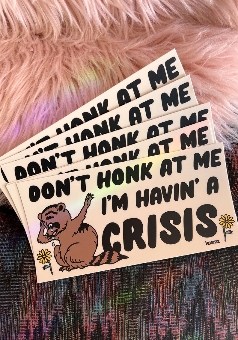 Havin' A Crisis Bumper Sticker, As Seen On TikTok, Gen Z Bumper Stickers, Bumper Stickers Funny, Mental Health Gifts, Sticker Decal For Car