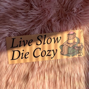 Live Slow Die Cozy Bumper Sticker, Gen Z Bumper Stickers, Gen Z Sticker, Cozy Stickers, Bumper Stickers Funny image 3