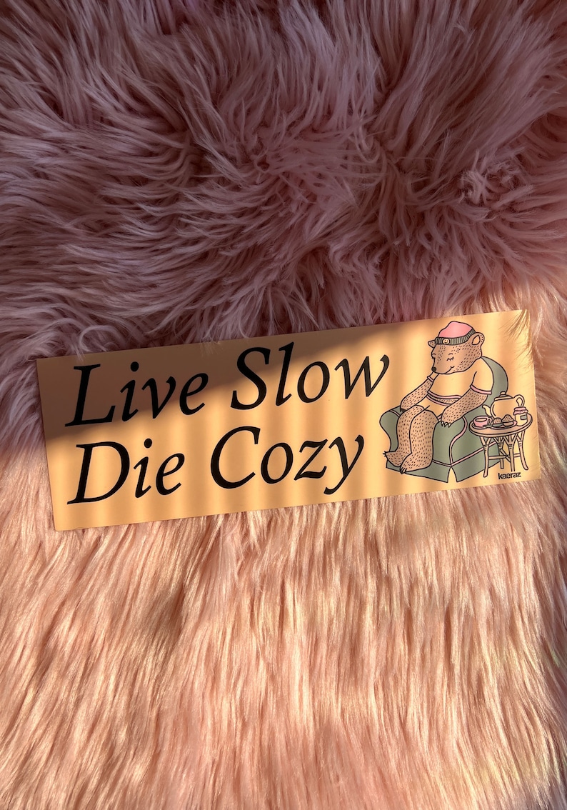 Live Slow Die Cozy Bumper Sticker, Gen Z Bumper Stickers, Gen Z Sticker, Cozy Stickers, Bumper Stickers Funny image 3