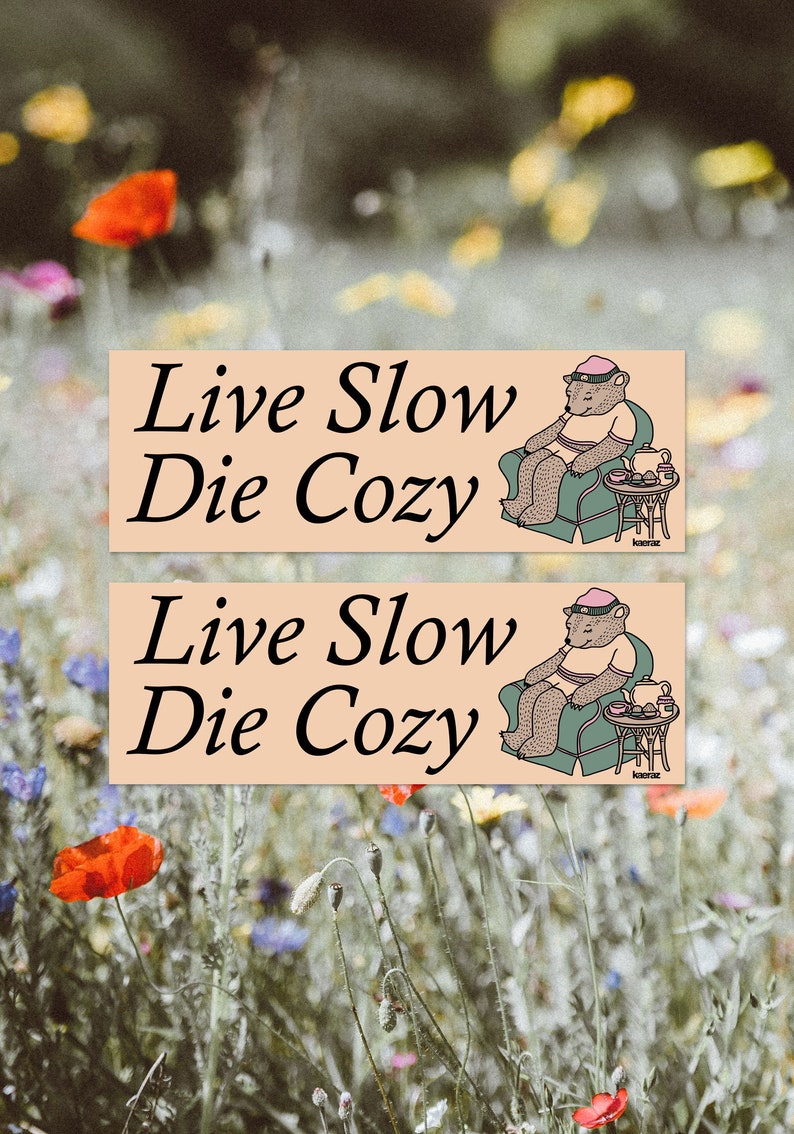 Live Slow Die Cozy Bumper Sticker, Gen Z Bumper Stickers, Gen Z Sticker, Cozy Stickers, Bumper Stickers Funny image 2