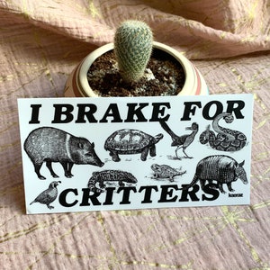 I Brake For Critters Bumper Sticker, Animal Lover Gift, Gen Z Bumper Stickers, Vegan Bumper Sticker, Funny Bumper Sticker Gen Z image 4