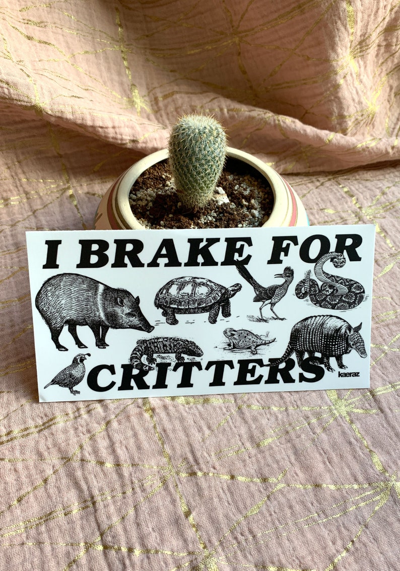 I Brake For Critters Bumper Sticker, Animal Lover Gift, Gen Z Bumper Stickers, Vegan Bumper Sticker, Funny Bumper Sticker Gen Z image 4
