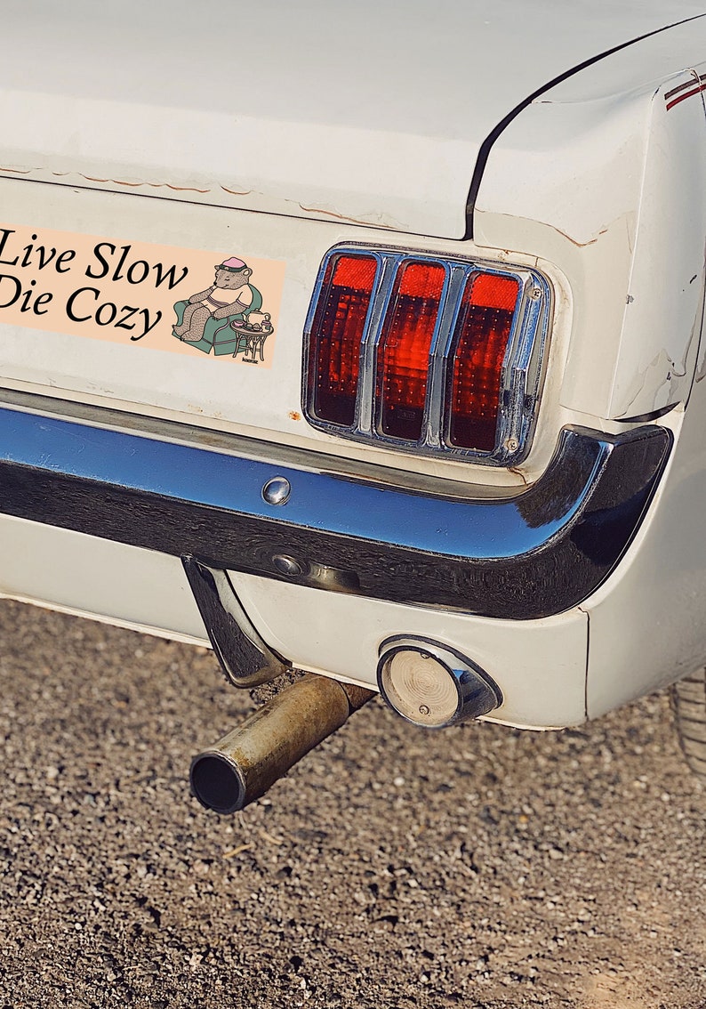 Live Slow Die Cozy Bumper Sticker, Gen Z Bumper Stickers, Gen Z Sticker, Cozy Stickers, Bumper Stickers Funny image 4