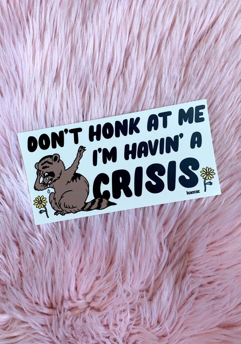 Havin' A Crisis Bumper Sticker as Seen on Tiktok Gen Z Etsy Australia