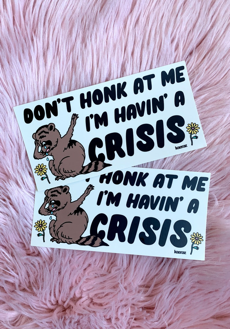Havin' A Crisis Bumper Sticker as Seen on Tiktok Gen Z Etsy
