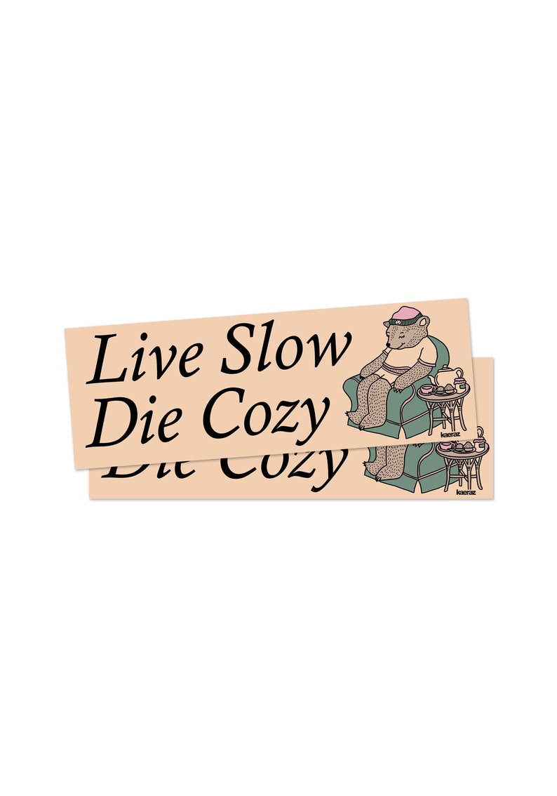 Live Slow Die Cozy Bumper Sticker, Gen Z Bumper Stickers, Gen Z Sticker, Cozy Stickers, Bumper Stickers Funny image 5