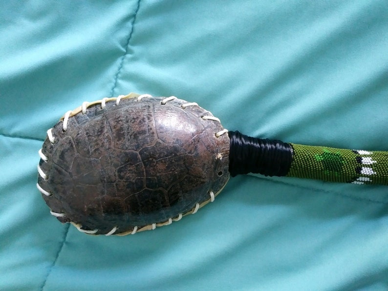Other Assemblage Art & Collectibles MtManCreations Baby Turtle Shell ...
