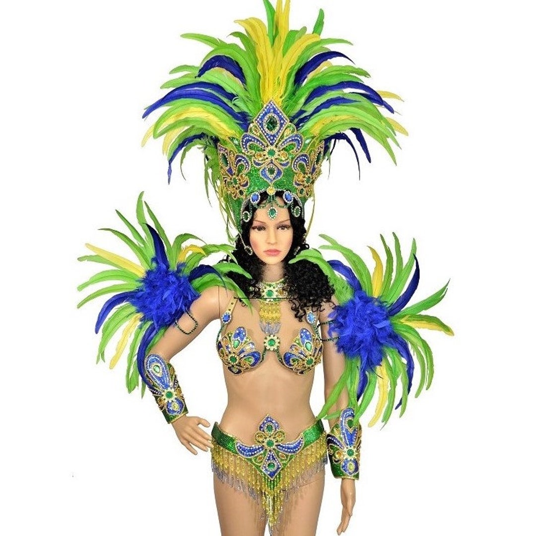 Brazilian Flag Colors Rio Carnival SAMBA Dance COSTUME Lux Bikini/show  Girl/ Feathers/ READY for Postage -  Canada