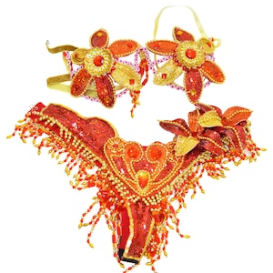 Samba Show Mädchen BH Bikini brasilianisches Rot/Orange/Gold Set Bauchtanz Karneval Kostüm Bund BRA/Cabaret/Federn/CUSTOM made