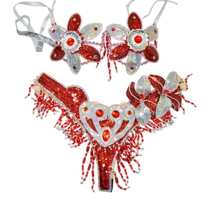 Samba Show girl Bra bikini brésilien Rouge / Argent set Danse du ventre costume de carnaval Ceinture BRA / Cabaret / plumes / SUR MESURE