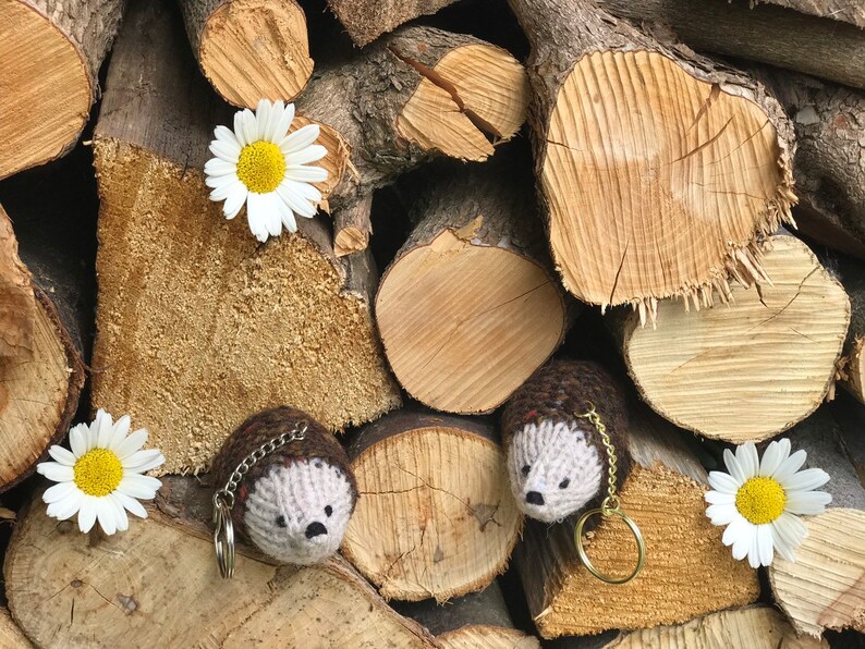 K&ouml;nnte beinhalten: Zwei braune und graue gestrickte Igel-Schl&uuml;sselanh&auml;nger mit goldenen Schl&uuml;sselringen, die an einem Stapel gestapelter Holzscheite h&auml;ngen. Wei&szlig;e G&auml;nsebl&uuml;mchen sind um die Igel herum verstreut.