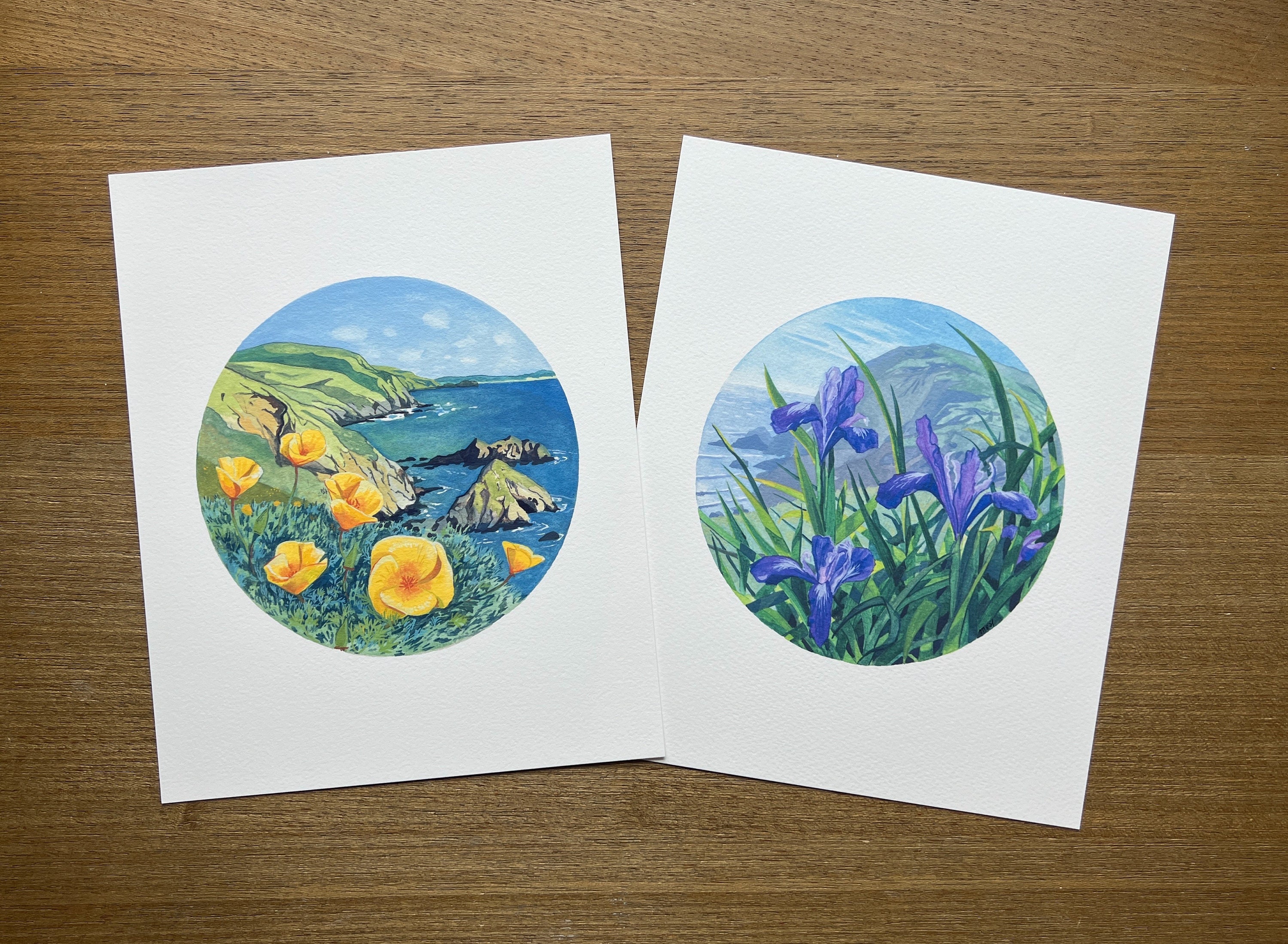 Point Reyes Poppy Flower Pair of Point Reyes Wildflowers (poppy and Iris) - Etsy
