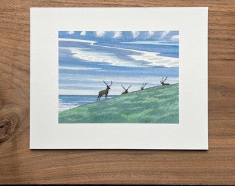 Point Reyes Elk Print