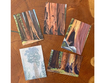 Set of 5 Giant Sequoia Postcards