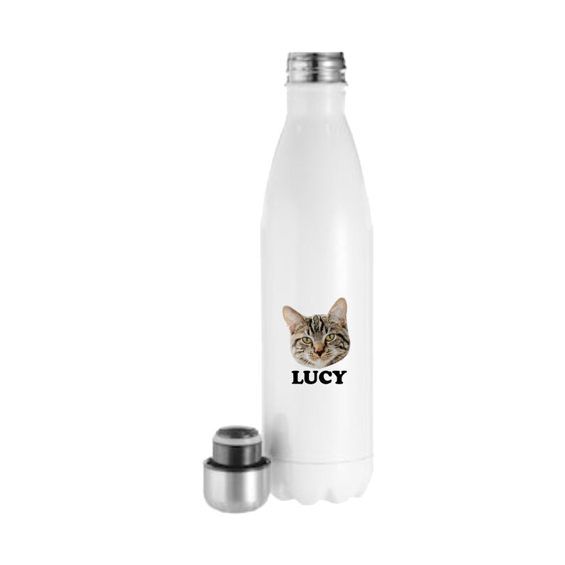 Personalized Pet Water Bottle Dog Water Bottle Cat Swell Etsy