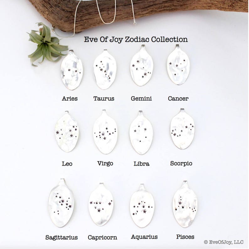 May include: A collection of twelve silver-toned zodiac constellation pendants. Each pendant features a unique star pattern representing a zodiac sign, with the sign's name below. The pendants are displayed on a white surface with a wooden branch and a plant.