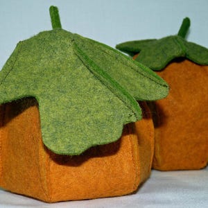 Peut inclure: Deux décorations de citrouilles faites à la main en feutre orange avec des feuilles et des tiges en feutre vert. Les citrouilles sont d'un orange chaud et les feuilles d'un vert vif. Les citrouilles sont probablement utilisées pour la décoration d'automne ou d'Halloween.