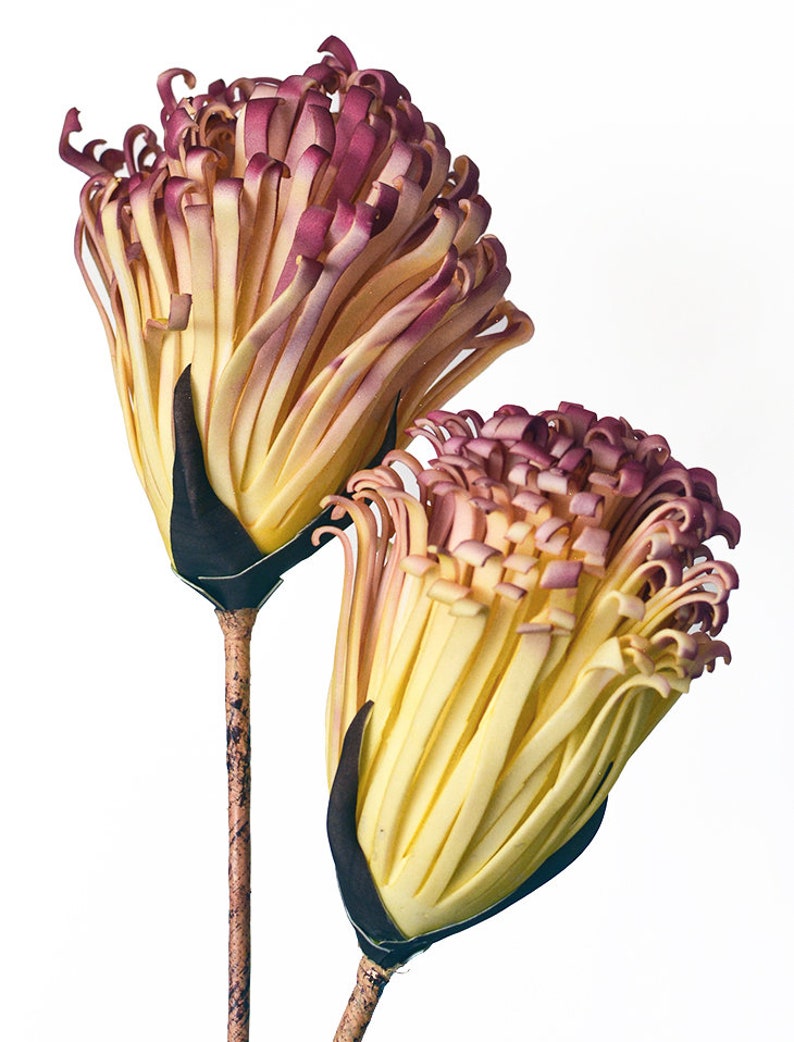 Foam Flower Botanical - Realistic Foam Botanical - Bild 2