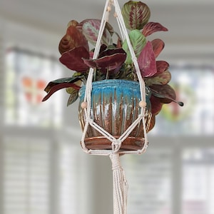 May include: A white macrame plant hanger with wooden beads, holding a blue and brown ceramic pot with a leafy plant.