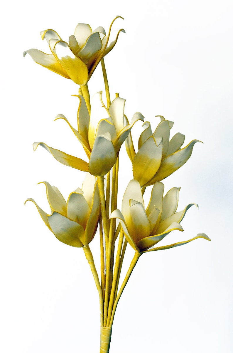 Foam Flower Botanical Realistic Foam Botanical Yellow flower white flower single stem flower-tall flower image 1