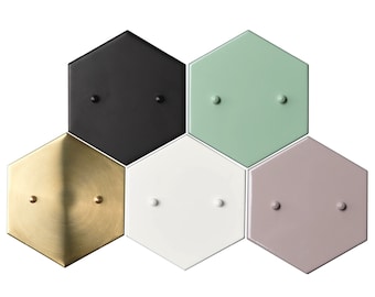 Add a Hexagon Canopy to Any Fixture In Our Shop - (Raw Brass, Sealed Brass, Matte Black, Navy Blue, Matte White, Mint Green, and Mauve Only)